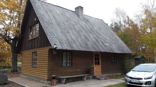 viesu