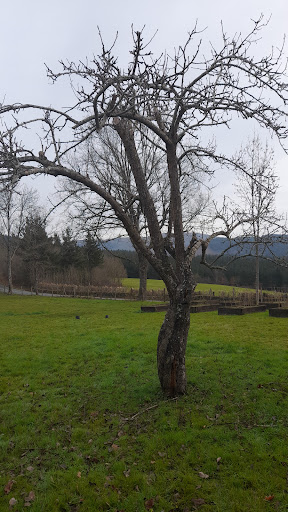 Jardineria y mudanzas alava