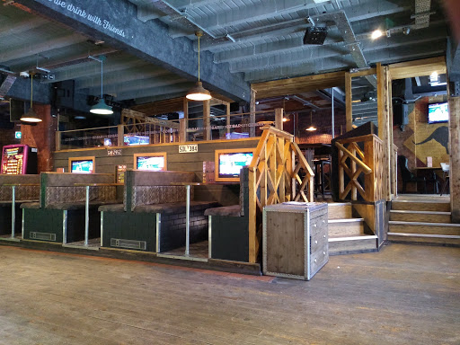 OZ Bar - Visual