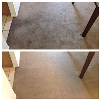 Florence Carpet Cleaning