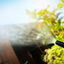 Dallas PowerWash Pros