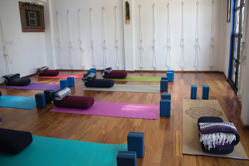 Shaktany yoga studio