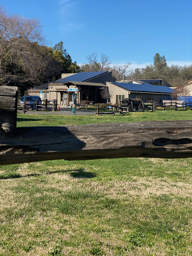VCA Loomis Basin Veterinary Clinic - Thumbnail