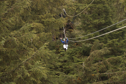 Alaska Canopy Adventures