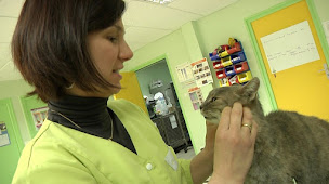 Photo n°19 de Vétérinaires Coeur d'Allier Saint Pourçain sur Sioule à Saint-Pourçain-sur-Sioule (Clinique vétérinaire)