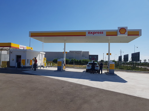 Shell Salinas - Visual