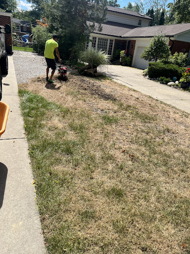 Assured Quality Solutions LLC