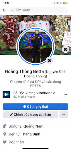 Hoàng Thông Betta