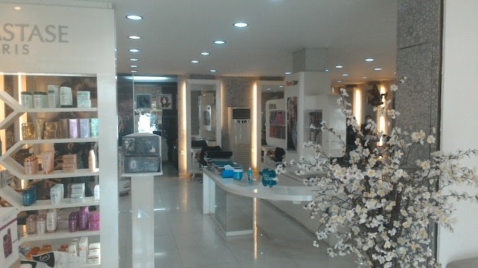 Tracy Salon, Author: Tracy Salon