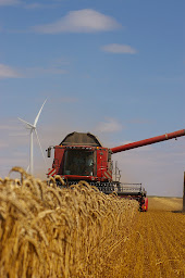 Photo n°20 de SCARA à Arcis-sur-Aube (Coopérative agricole)