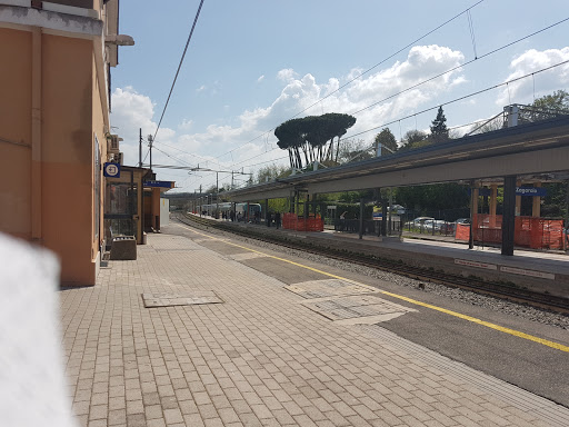 Zagarolo - Visual