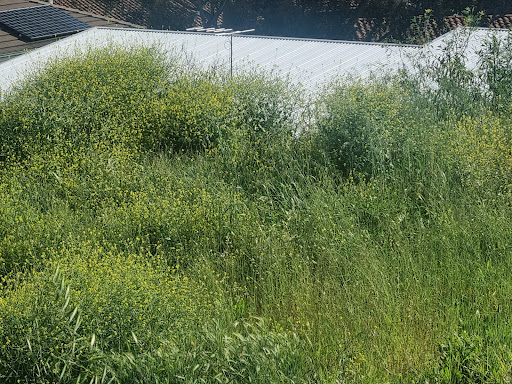 Gardens and home maintenance - Thumbnail
