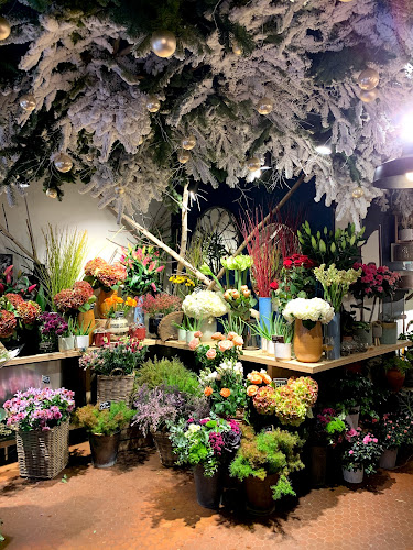 Avis sur Boule de Neige Fleuriste à Paris - Fleuriste