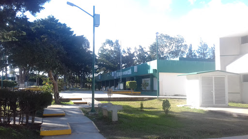 Instituto Tecnologico de Comitan - Thumbnail