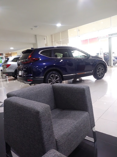 HONDA VANGUARDIA GONZALEZ GALLO - Thumbnail