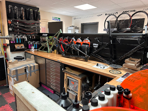 Wisdom’s Workshop - Visual