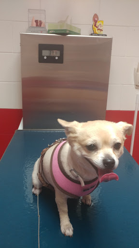 Southwest Animal Care Center Gallery - United States