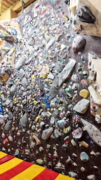 コーラルロック