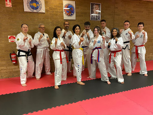 VITA (Victoria ITF Taekwon-Do Academy) - Thumbnail