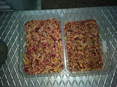 Photos of Adagro Gıda