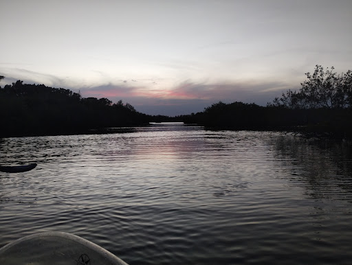 Get Up And Go Kayaking - Titusville - Bioluminescent - Thumbnail