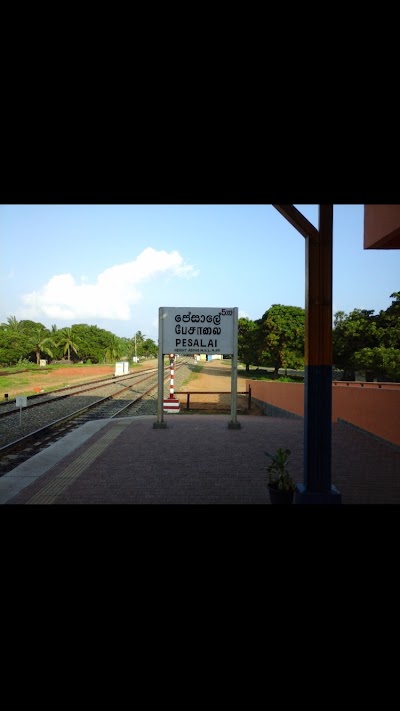 Photos of பேசாலை