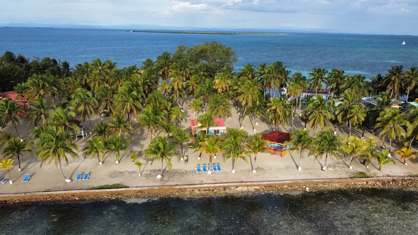 Blue Marlin Beach Resort by null