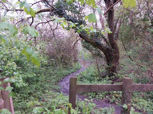 Marks Hill - Visual