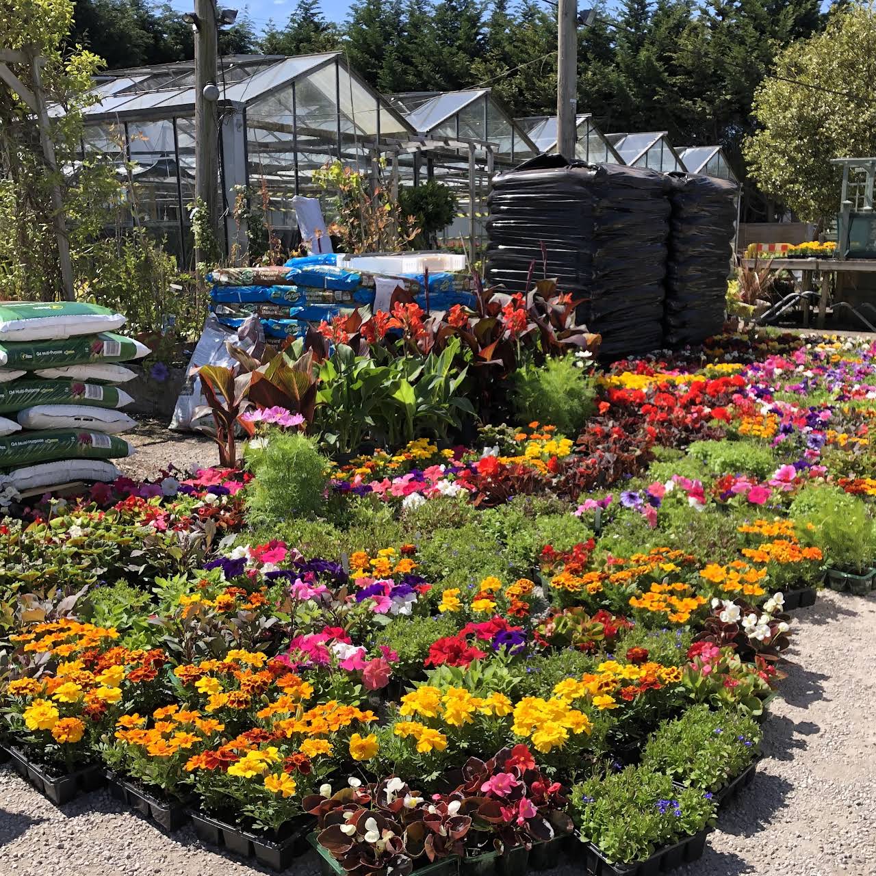 Morley Nurseries Garden Centre