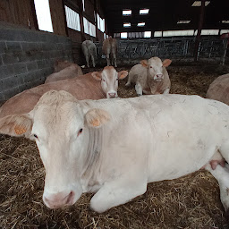 Photo n°4 de La Ferme du Sevron à Meillonnas (Ferme d'élevage)
