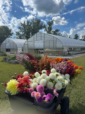 Bloom Ridge Farm by null