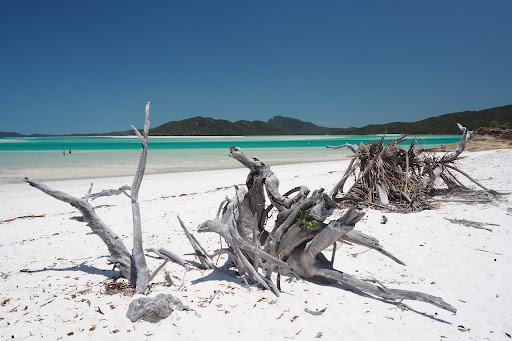 Lady Enid - Barefoot Luxury Day Sailing | Iconic Whitsunday Adventures - Thumbnail