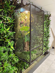 Photo n°14 de Les Barbiers du Port à Carqueiranne (Salon de coiffure)