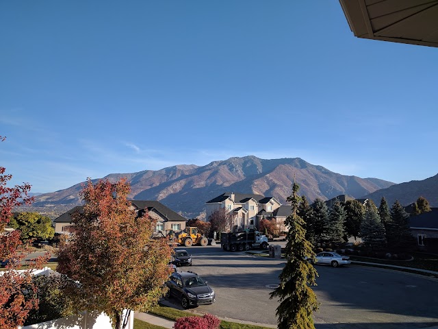 Ogden