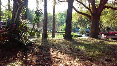 Photos of City of Savannah
