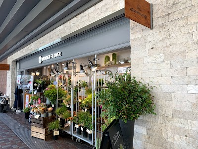 Wonder Flower アトレ恵比寿店 Florist Shibuya Ku Tokyo