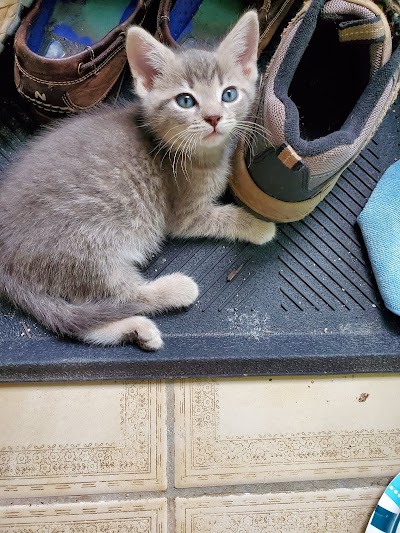 Beaumont Animal Clinic