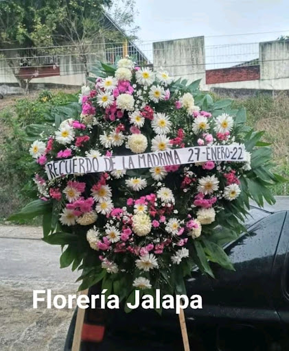 Floristería Jalapa - Thumbnail
