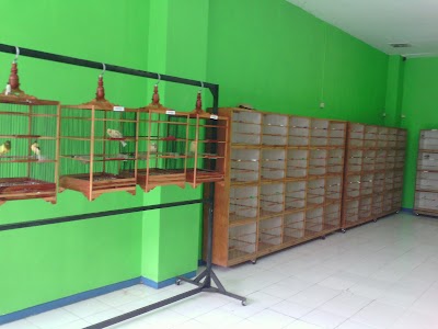 Photos of galeri kenari