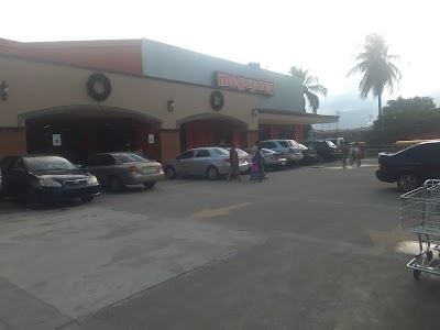 Photos of Megapaca