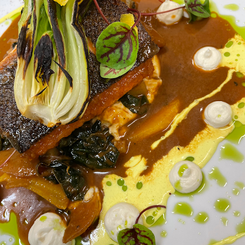 Verbena BYOB by null