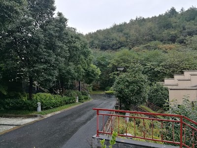 Photos of Regalia Resort & SPA