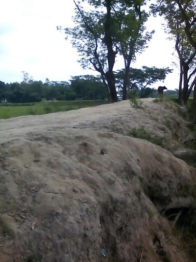 Photos of Nangolkot Upazila Health Complex