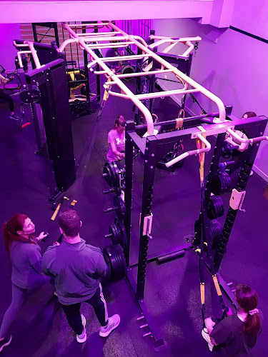 Musclemania Vergi Gym