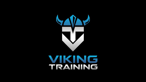 Viking Training Logo