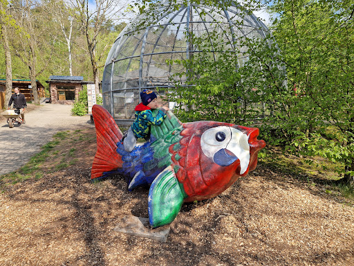Playground ( Part of the Zoo) - Thumbnail