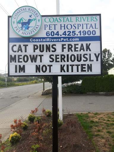 Coastal Rivers Pet Hospital - Thumbnail