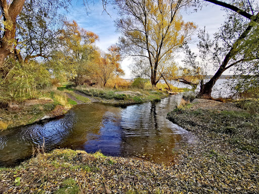 Halbinsel Wusterau - Visual