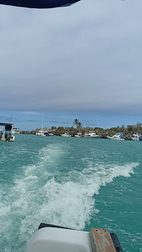 Galapagos Islands - Puerto Ayora