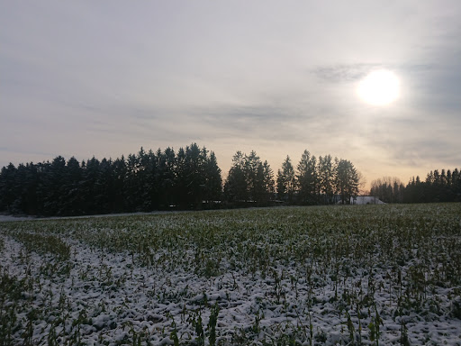 Tabakstanne - Visual